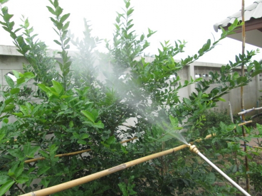 เครื่องพ่นยาสะพายบ่า KIORITZ SHPE701