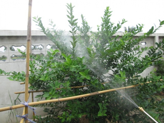 เครื่องพ่นยาสะพายบ่า KIORITZ SHPE701