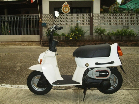 *** ขาย Honda Squash 50cc มือสองณี่ปุ่น ***