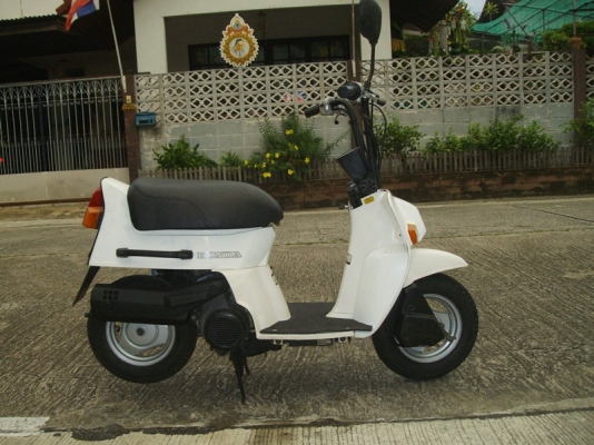 *** ขาย Honda Squash 50cc มือสองณี่ปุ่น ***