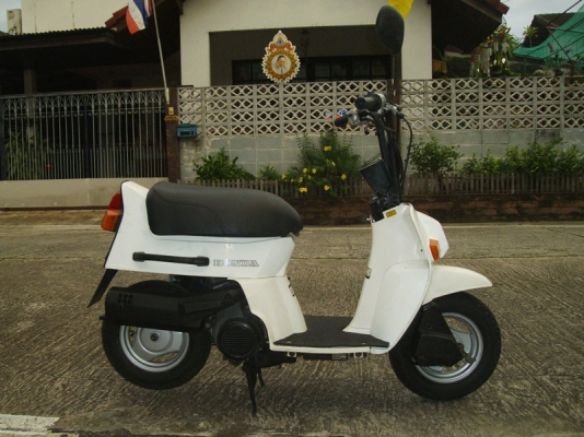 *** ขาย Honda Squash 50cc มือสองณี่ปุ่น ***