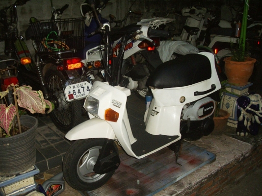 *** ขาย Honda Squash 50cc มือสองณี่ปุ่น ***