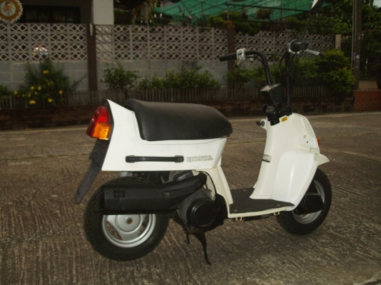 *** ขาย Honda Squash 50cc มือสองณี่ปุ่น ***