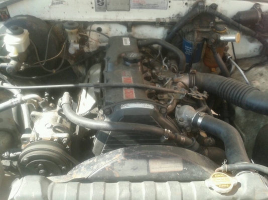 ขายไมตี้ x พร้อมใช้ ขายไมตี้ x พร้อมใช้