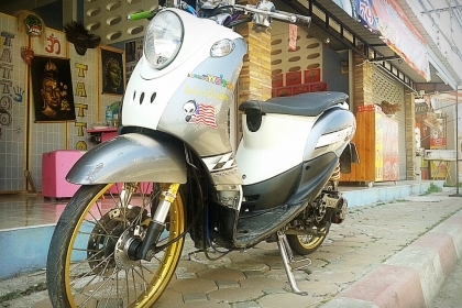 ฟีโน่ ราคเบาๆ10000บาท มาก่อนได้ก่อนน่ะครับ