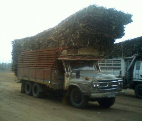 สิบล้อหัวยาวบรรทุกอ้อย Isuzu TX  2เพลาเดิม เครื่อง EH700 168 Hp มีสโล์แรงๆๆ