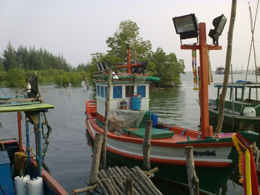 ขายเรือตกปลา ไดหมึก ขายเรือตกปลา ไดหมึก