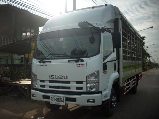 ขายหกล้อ อีซูซุ FRR 210 แรง ยาว 5.60 ปี 53