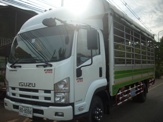 ขายหกล้อ อีซูซุ FRR 210 แรง ยาว 5.60 ปี 53