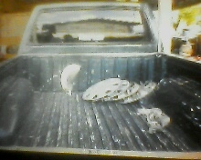 ขายกะบะISUZUมังกรแค็ปสวยๆพร้อมใช้พาเวอร์กระจกไฟฟ้ารถบ้าน0895835731ยุทธ บ้านไผ่ ขายกะบะISUZUมังกรแค็ปสวยๆพร้อมใช้พาเวอร์กระจกไฟฟ้ารถบ้าน0895835731ยุทธ บ้านไผ่