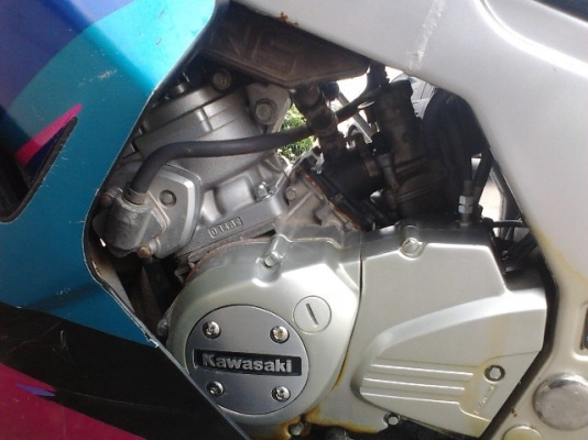 ขาย kasasaki เชอร์ปิโก้