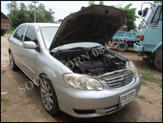 ขายด่วน รถเก๋ง TOYOTA, COROLLA ALTIS 1.6 (ABS-AIRBAG) โฉม altis ตัวใหญ่ เกียร AUTO เดิมๆ ทั้งคัน ไม่เคยติดเเก็ส เดิมๆ ประหยัด รถพร้อมใช้ ราคาสุดคุ้ม ขายด่วน รถเก๋ง TOYOTA, COROLLA ALTIS 1.6 (ABS-AIRBAG) โฉม altis ตัวใหญ่ เกียร AUTO เดิมๆ ทั้งคัน ไม่เคยติดเเก็ส เดิมๆ ประหยัด รถพร้อมใช้ ราคาสุดคุ้ม