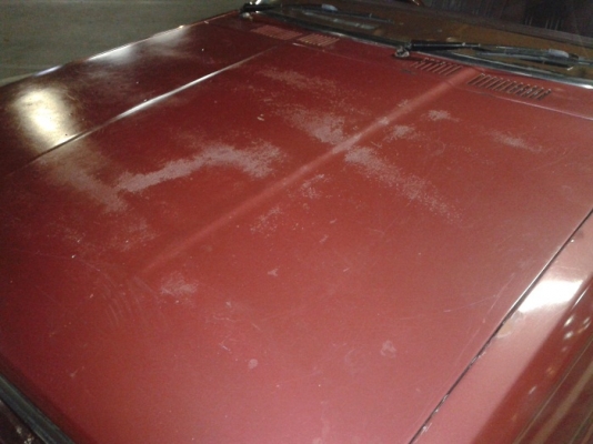 ขาย dutsun stanza pa10 ปี 1981 สภาพดี 28000ลดราคาจะไปซื้อมอไซค์คับ