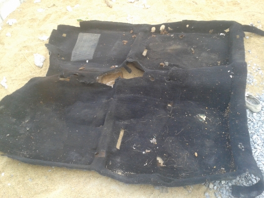 ขายพรมปูพื้น A31