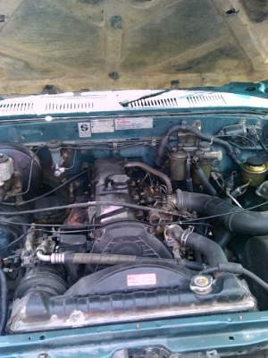 ขายไมตี้เอ็กซ์แค็ปถูกๆ