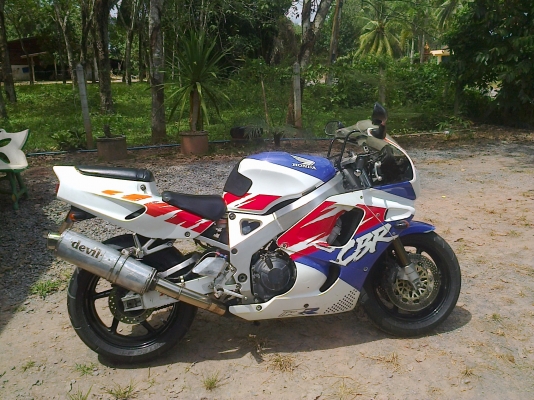 ขาย HONDA cbr  900 ปี95