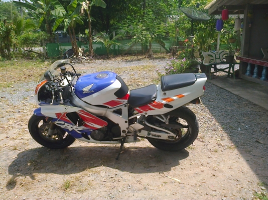 ขาย HONDA cbr  900 ปี95