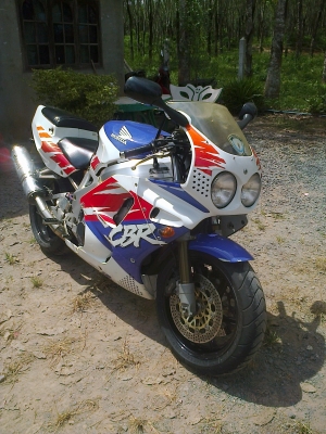 ขาย HONDA cbr  900 ปี95