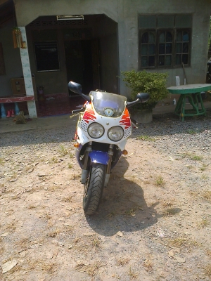 ขาย HONDA cbr  900 ปี95