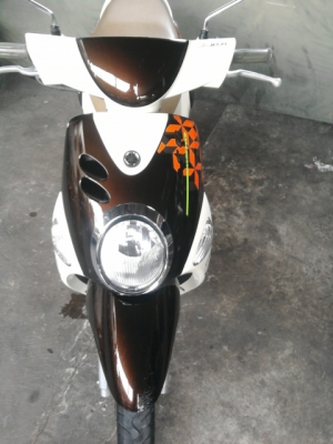 ขาย Yamaha fiore ปี 55 เครื่องเดิมๆ สภาพตามรูปเลยครับ 19000 บาท ขาย Yamaha fiore ปี 55 เครื่องเดิมๆ สภาพตามรูปเลยครับ 19000 บาท