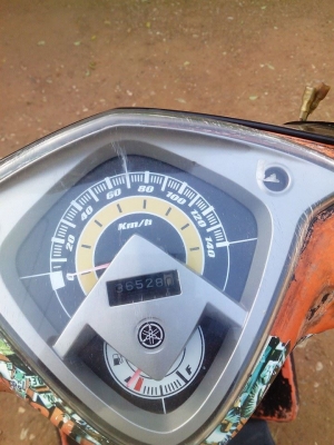 มีสองตาปี52 มีสองตาปี52