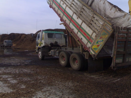 ขายHINO FM187LA เครื่อง 195แรง 2เพลาดั๊ม กะบะปิเนียมสวยๆ ขายHINO FM187LA เครื่อง 195แรง 2เพลาดั๊ม กะบะปิเนียมสวยๆ