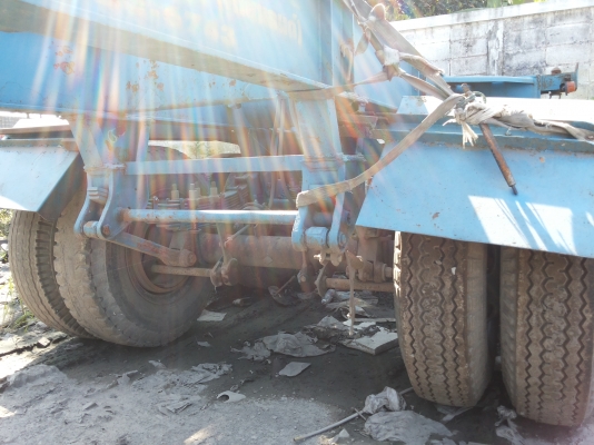 หางก้างสั้น