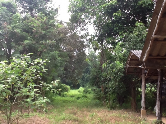 ขายที่ดิน