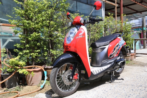 Scoopy ปี 55 สภาพดี