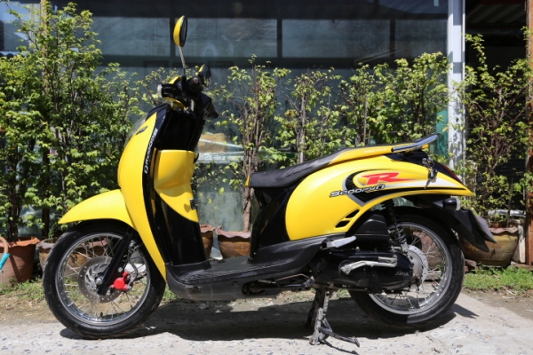 Scoopy ปี 53 สภาพดี
