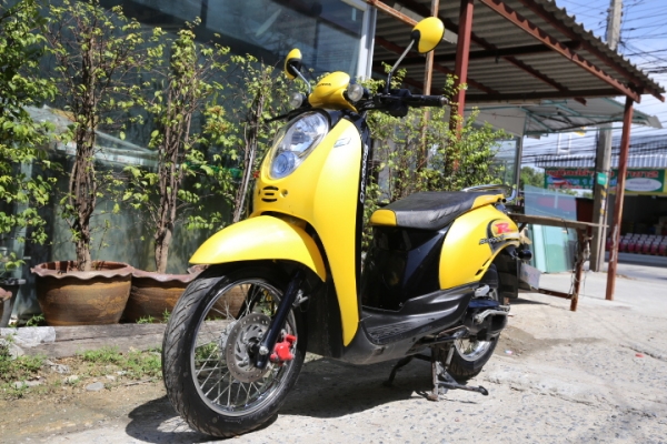 Scoopy ปี 53 สภาพดี