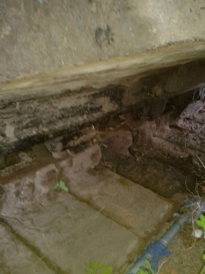 รถแบคโฮ KOBELCO 200 - 3 YN - 12 สนใจติดต่อ 081 - 6079515 รถแบคโฮ KOBELCO 200 - 3 YN - 12 สนใจติดต่อ 081 - 6079515