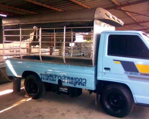 4 ล้อ *กระบะสแตนเลส*  ISUZU NKR  *ยาว 3.20 ม.*  รถสวยเดิม+สวยจริง / เอกสารพร้อมโอน / สภาพพร้อมใช้งาน  /