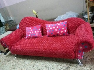 ขายเก้าอี้ มือหนึ่ง สีสวยๆ ขนนุ่ม แข็งแรง