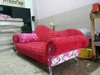 ขายเก้าอี้ มือหนึ่ง สีสวยๆ ขนนุ่ม แข็งแรง ขายเก้าอี้ มือหนึ่ง สีสวยๆ ขนนุ่ม แข็งแรง