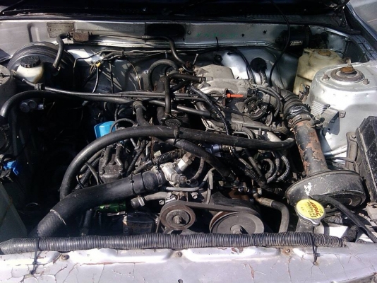 หน้าเเหลม