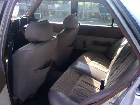 หน้าเเหลม