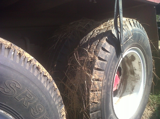 ขายสิบล้อล่อง 1 เพลา ร็อคกี้ 175  สถาพพร้อมใช้ เจ้าของเลิกกิจการ โทรต่อรองเลย  083-3777-839