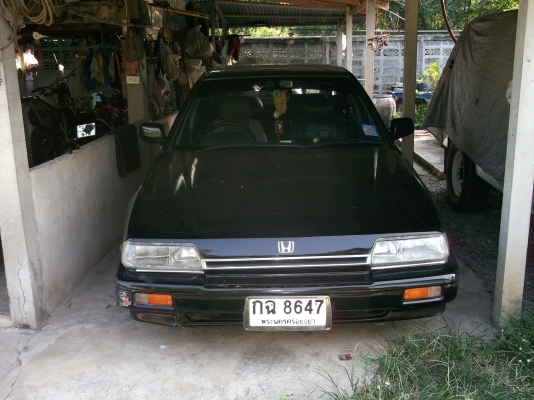 HONDA accord