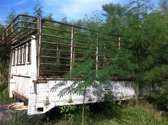 ขาย (ตามสภาพ) กระบะรถบรรทุก ยกลงจากร้อกกี้ FRR