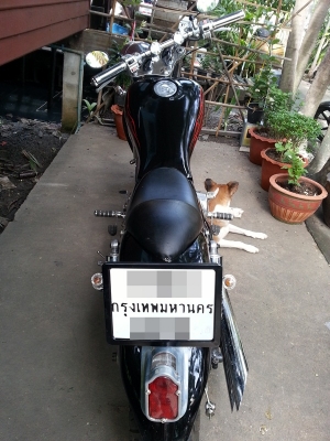 ขาย Yamaha Virago 400CC โครเมี่ยมทั้งคัน ทะเบียนแท้ + พรบ แท้พร้อมโอน หมดปี 2556