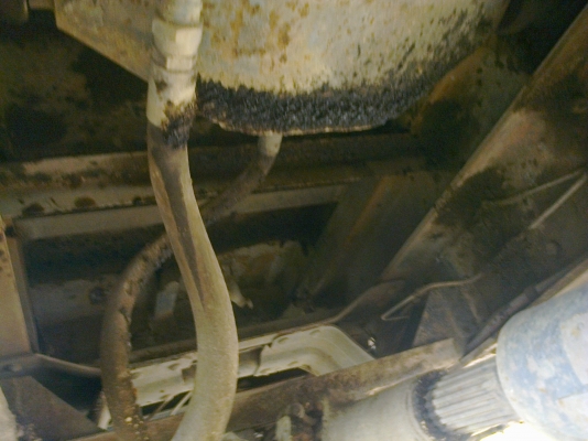 อีซูซุร็อคกีั 165แรง ดั้ม3.80ม.ยาง900-20 รถเดิมๆทั้งคัน สภาพดี อีซูซุร็อคกีั 165แรง ดั้ม3.80ม.ยาง900-20 รถเดิมๆทั้งคัน สภาพดี