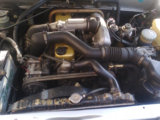 ขาย อิสุสุ ดราก้อน ขาย อิสุสุ ดราก้อน