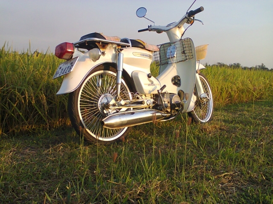 C70 เครื่องดรีม100ไม่มีทะเบียนกับชาลี2คันพมขอ23000ด่วนสนใจจิงไม่เกีียงราคาพมขายจิง