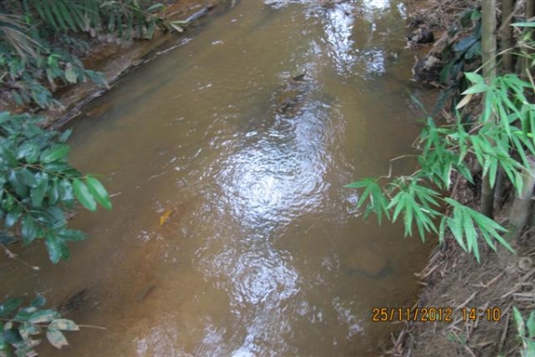 ขายบ้านพร้อมที่ดินติดคลองธรรมชาติที่ระยอง