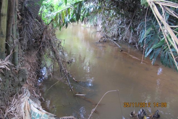 ขายบ้านพร้อมที่ดินติดคลองธรรมชาติที่ระยอง