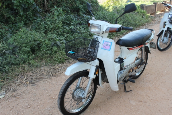 ดรีมคุรุสภารุ่นแรกเดิมพร้อมประกวดขาวๆอวบๆทะเบียนโอนภาษีเต็มขาย14800บาท