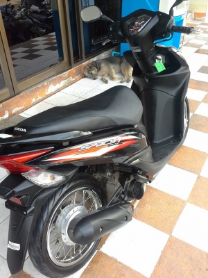 ขายถูกมาก Honda Spacy – i ปี 2556 รถสวยประหยัดน้ำมัน ขายถูกมาก Honda Spacy – i ปี 2556 รถสวยประหยัดน้ำมัน