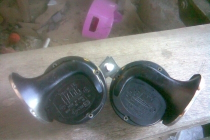 แตรคู่ยุโรป