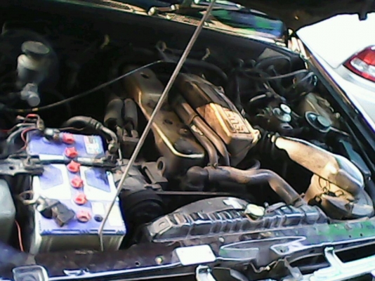 ISUZU TFR หัวเดียว เครื่องดีเกียร์ดีแอร์เย็นเครื่องสียง เลี่ยมๆพร้อมใช้เดิมๆหายาก ISUZU TFR หัวเดียว เครื่องดีเกียร์ดีแอร์เย็นเครื่องสียง เลี่ยมๆพร้อมใช้เดิมๆหายาก